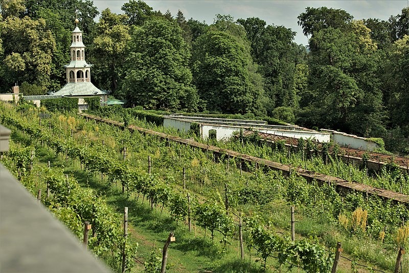 Foto: GodeNehler 
Link: https://commons.wikimedia.org/wiki/File:KulTour_Parkanlage_Sanssouci_Weinberg_und_Drachenhaus-3330.jpg